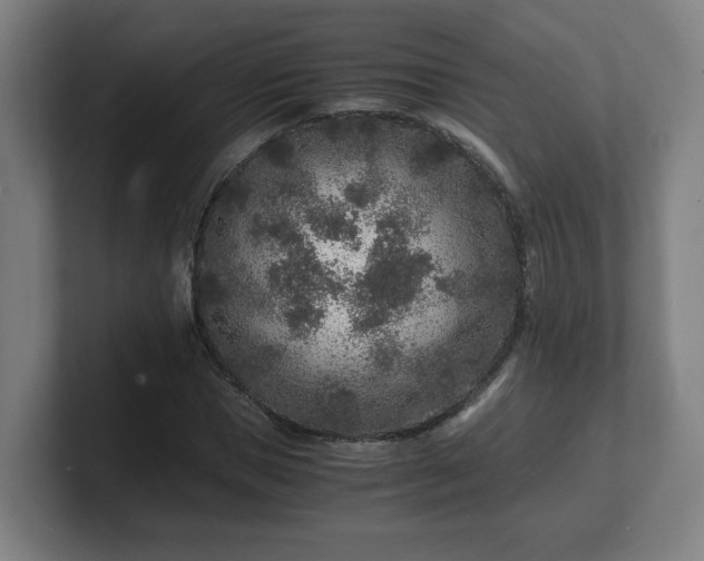 X0000101710921200807171533