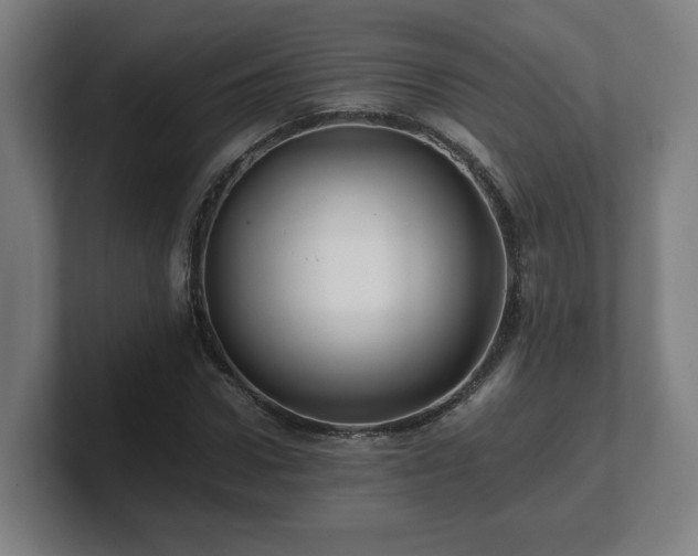 X0000101710922200807171533