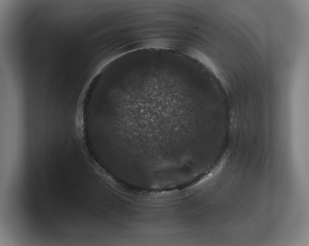 X0000101710923200807171533
