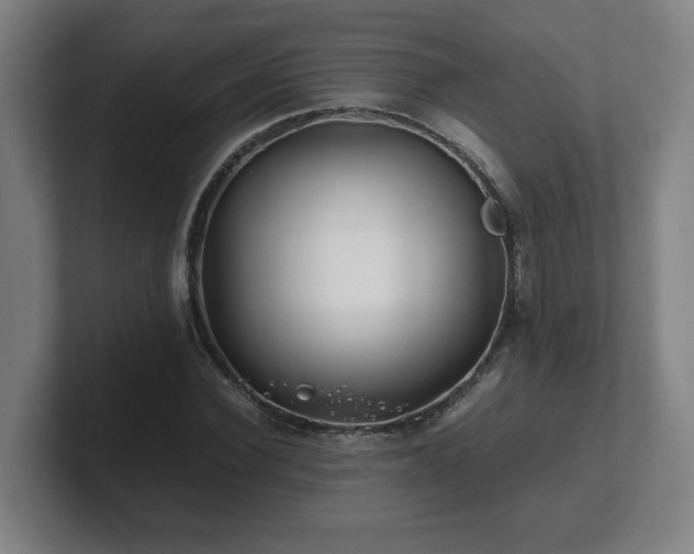 X0000101710924200807171533