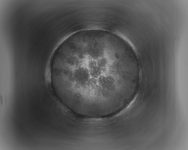 X0000101710925200807171533