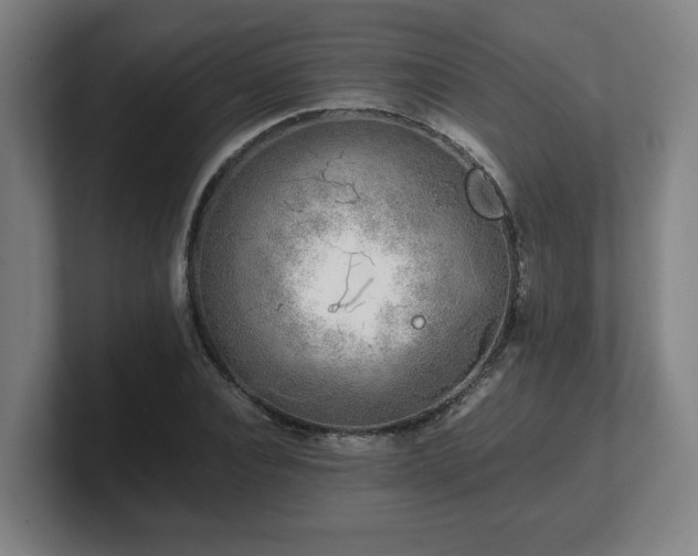 X0000101710928200807171533