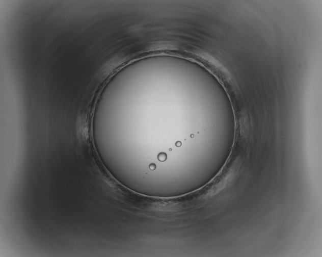 X0000101710929200807171533