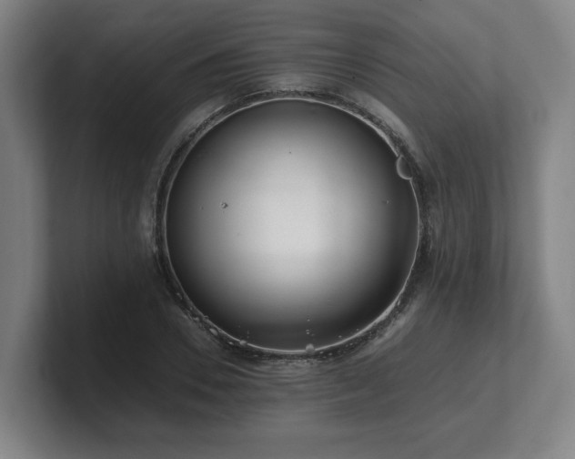 X0000101710930200807171533