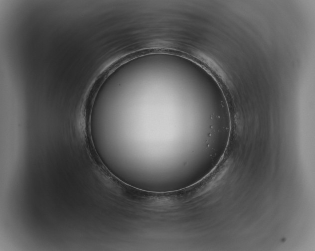 X0000101710931200807171533