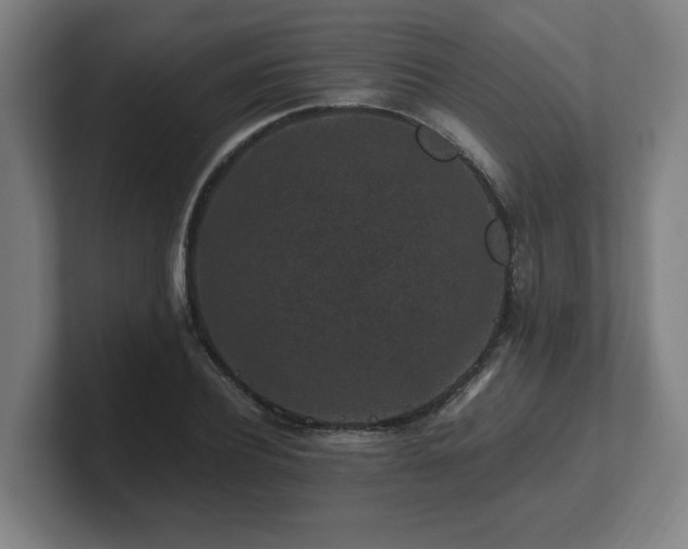X0000101710932200807171533