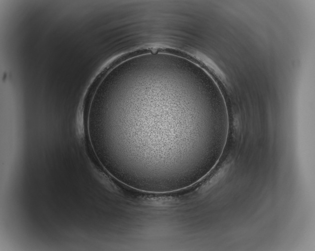 X0000101710934200807171533