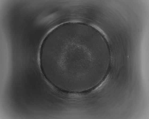 X0000101710935200807171533