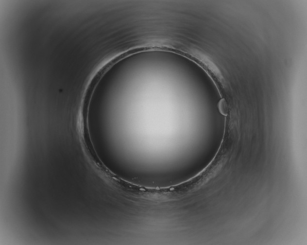 X0000101710936200807171533