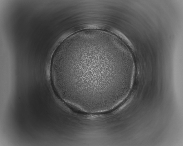 X0000101710938200807171533