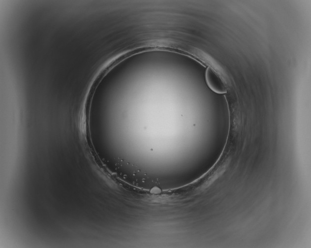 X0000101710940200807171533