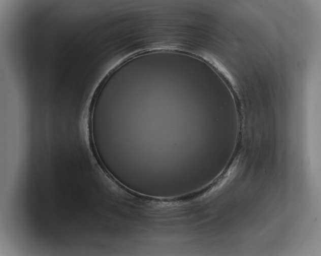 X0000101710941200807171533