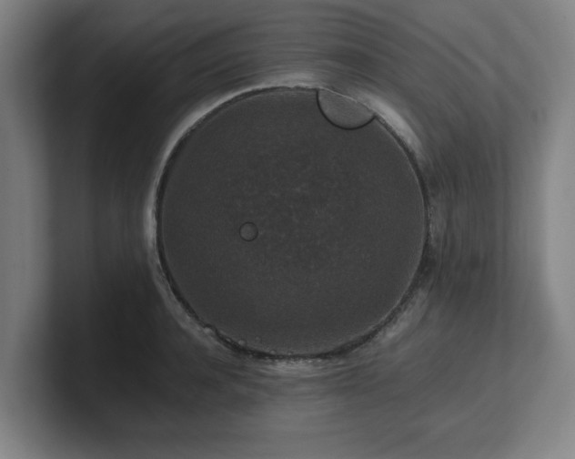 X0000101710944200807171533