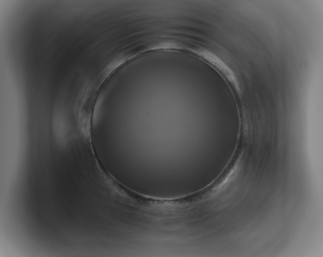 X0000101710945200807171533