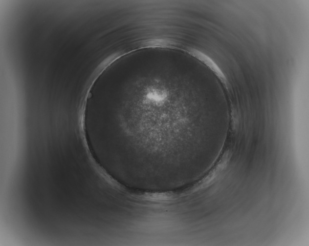 X0000101710946200807171533