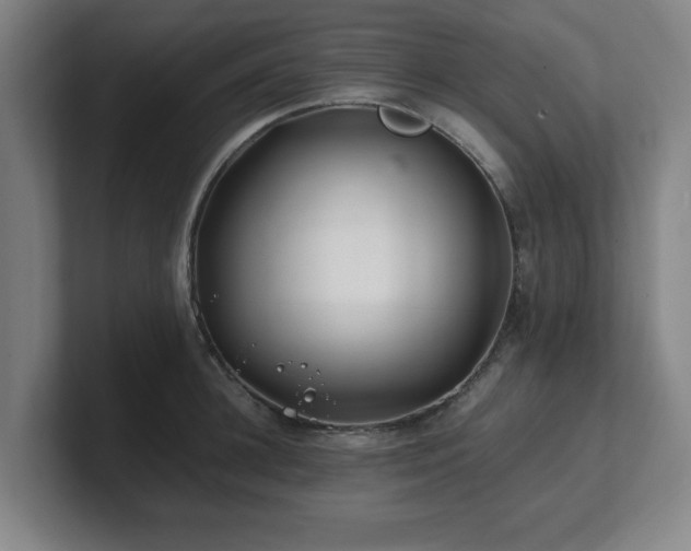 X0000101710948200807171533