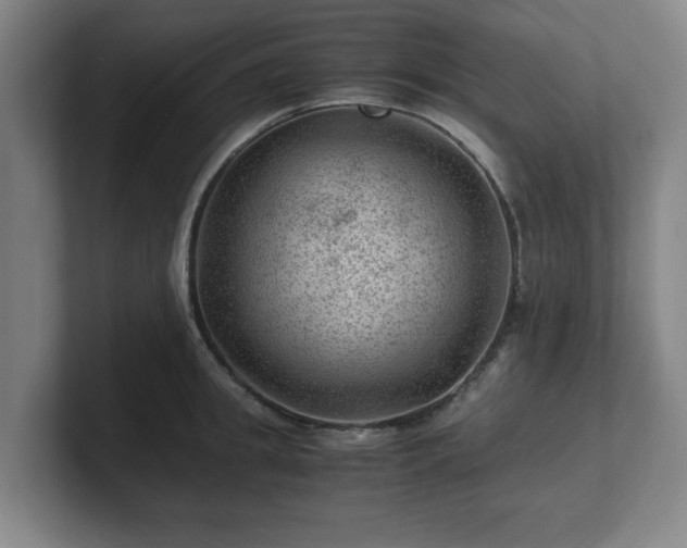 X0000101710949200807171533