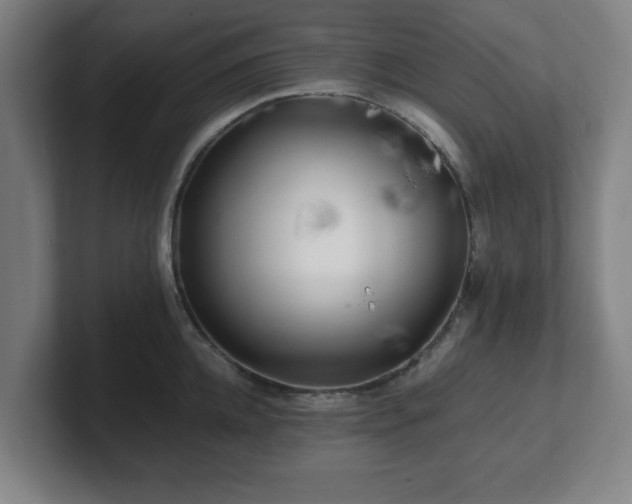 X0000101710952200807171533