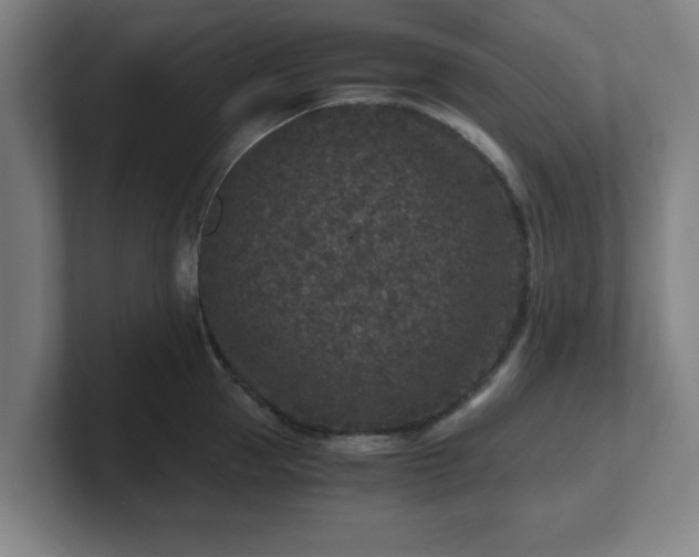 X0000101710953200807171533
