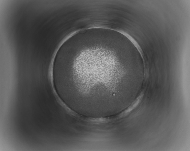 X0000101710957200807171533
