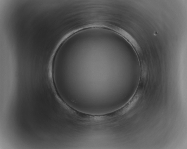 X0000101710958200807171533