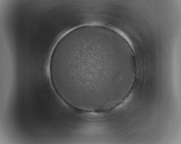 X0000101710959200807171533