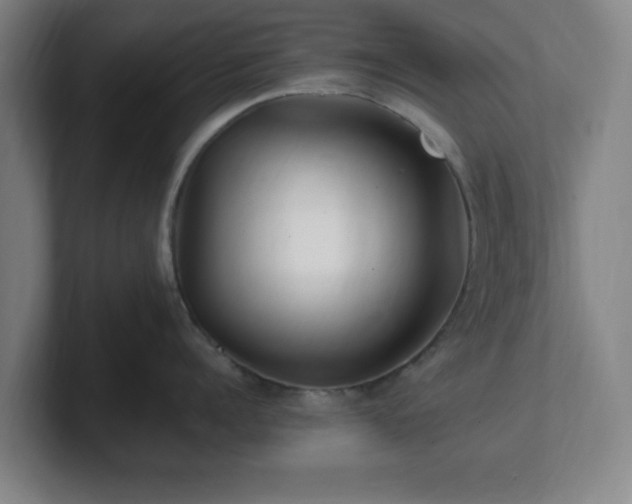 X0000101710960200807171533