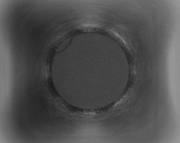 X0000101710965200807171532