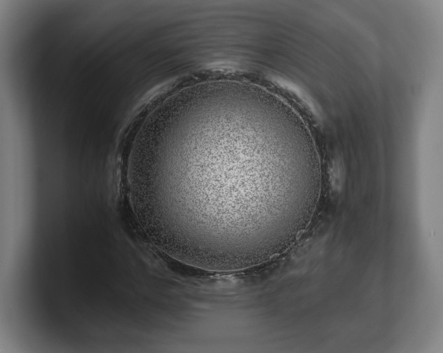 X0000101710968200807171532