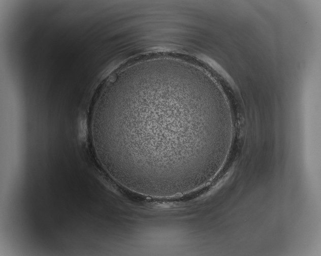 X0000101710969200807171532
