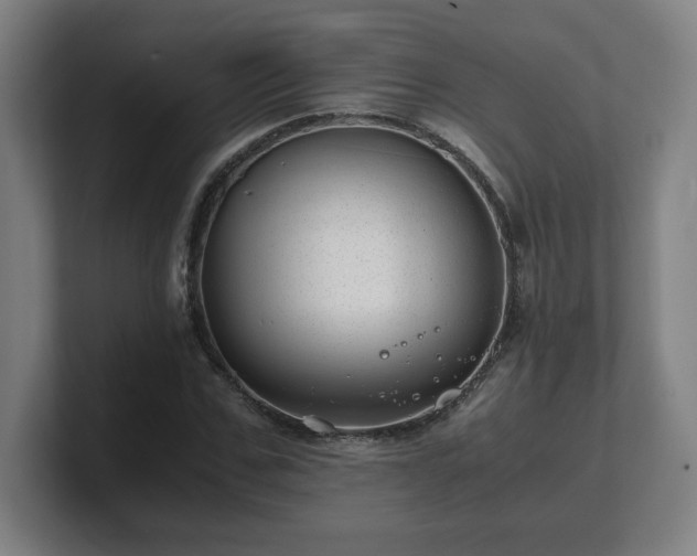 X0000101710971200807171532