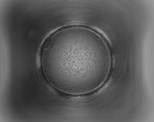 X0000101710973200807171532