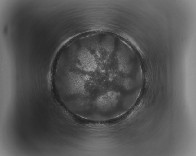 X0000101710975200807171532