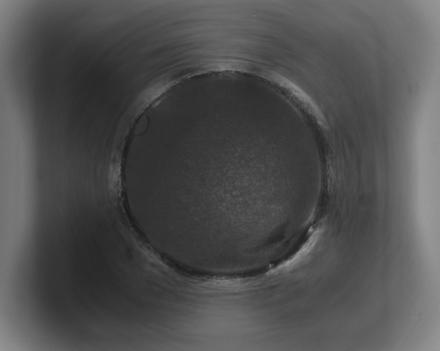 X0000101710977200807171532