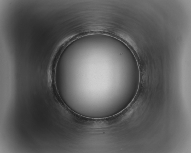 X0000101710979200807171532