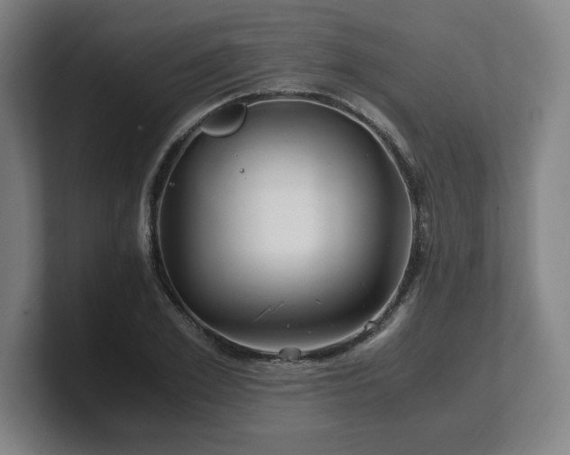 X0000101710981200807171532
