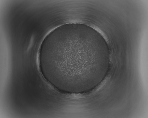 X0000101710983200807171532