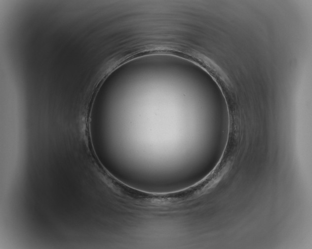 X0000101710985200807171532