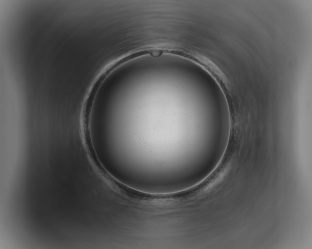X0000101710989200807171532
