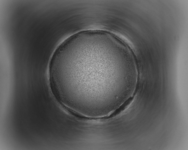 X0000101710990200807171532