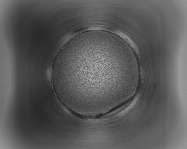 X0000101710993200807171532
