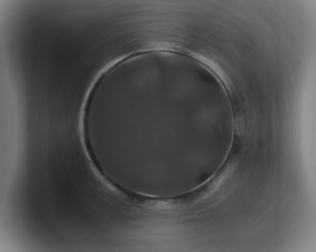 X0000101710995200807171532