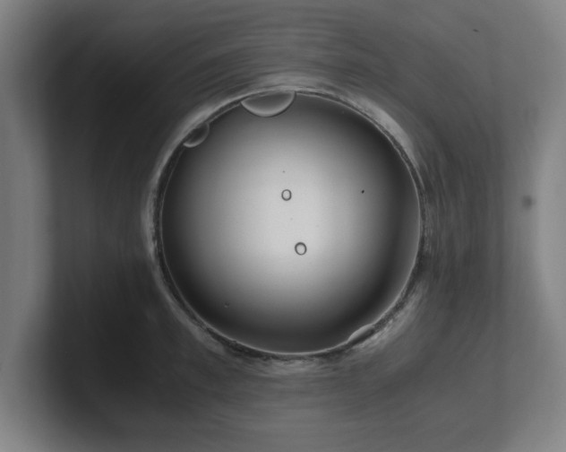 X0000101710997200807171532