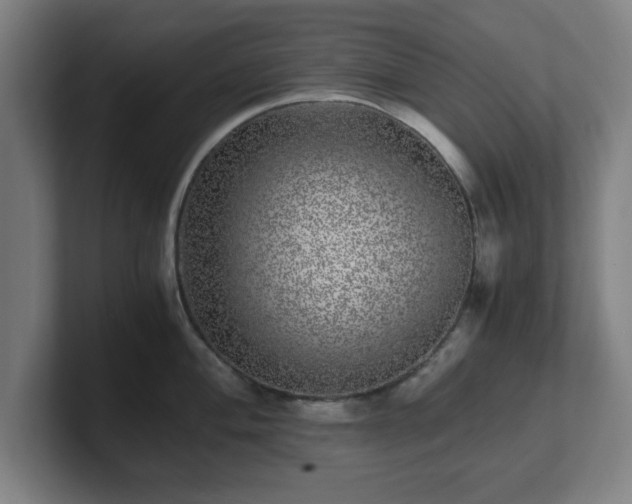 X0000101711004200807171532
