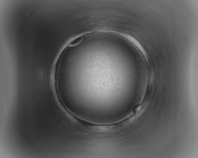 X0000101711005200807171532