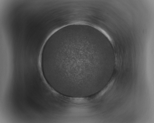 X0000101711007200807171532