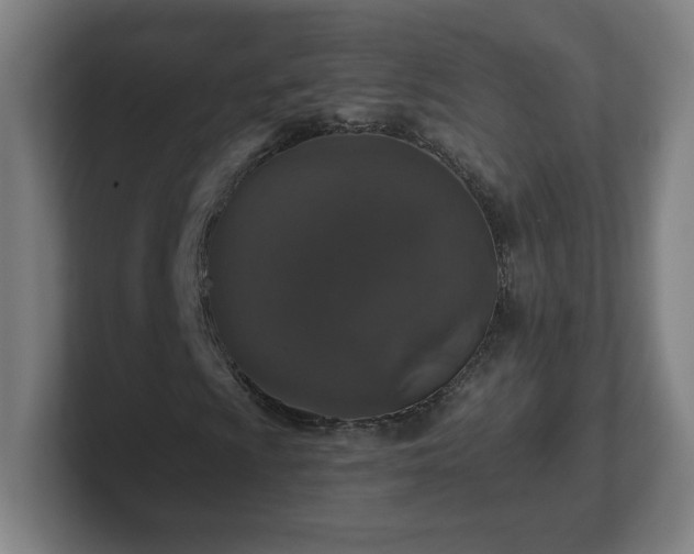 X0000101711009200807171531