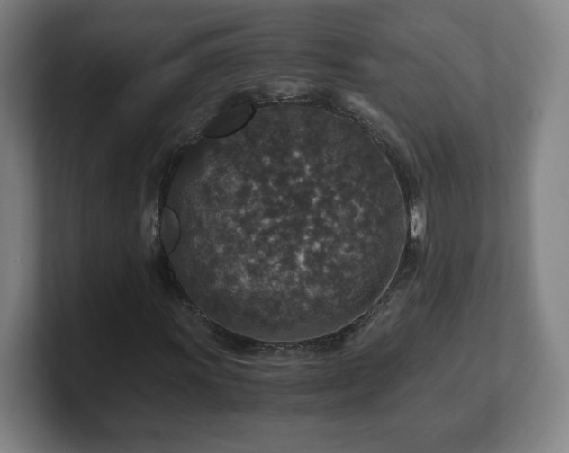 X0000101711011200807171531