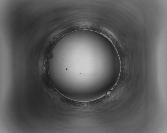 X0000101711016200807171531