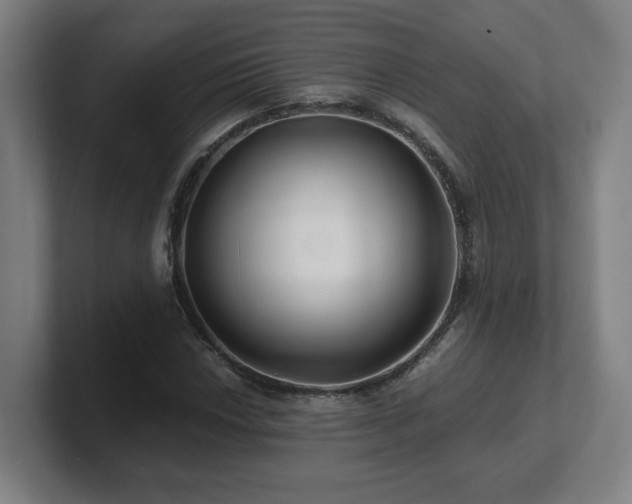 X0000101711018200807171531